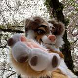 xansafterdark from onlyfans